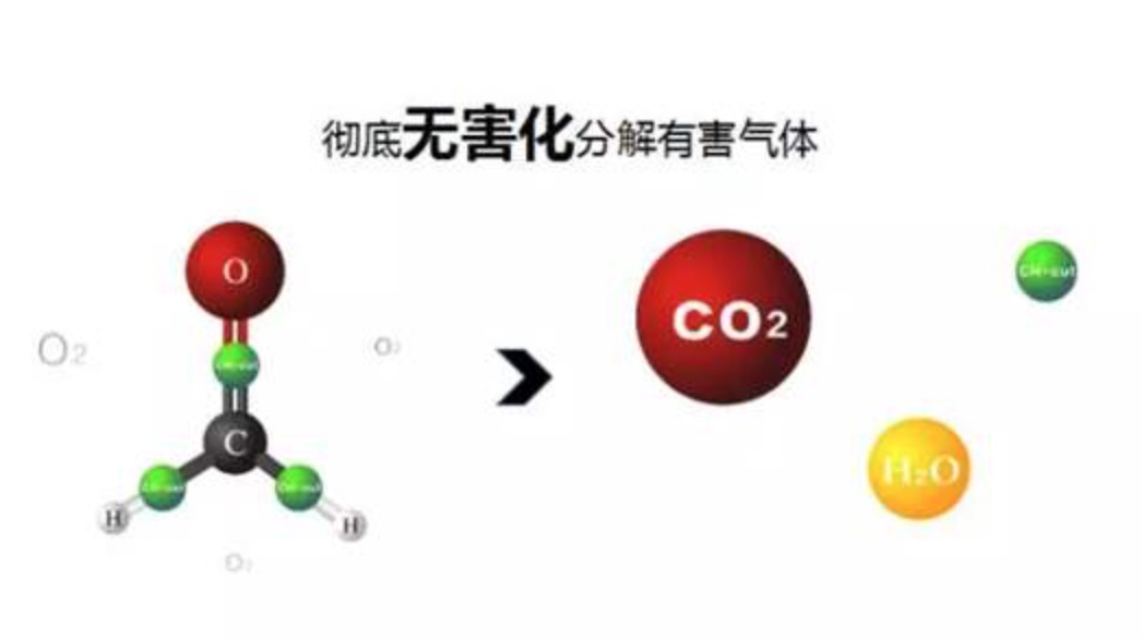 除甲醛公司