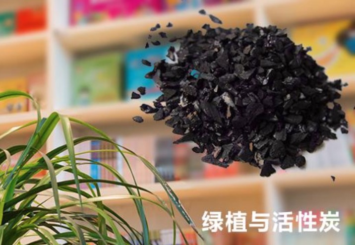 绿植加炭包还能吸甲醛？用除甲醛公司一周就能搬家！