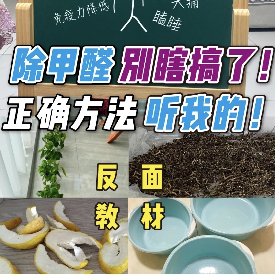 除甲醛别瞎搞