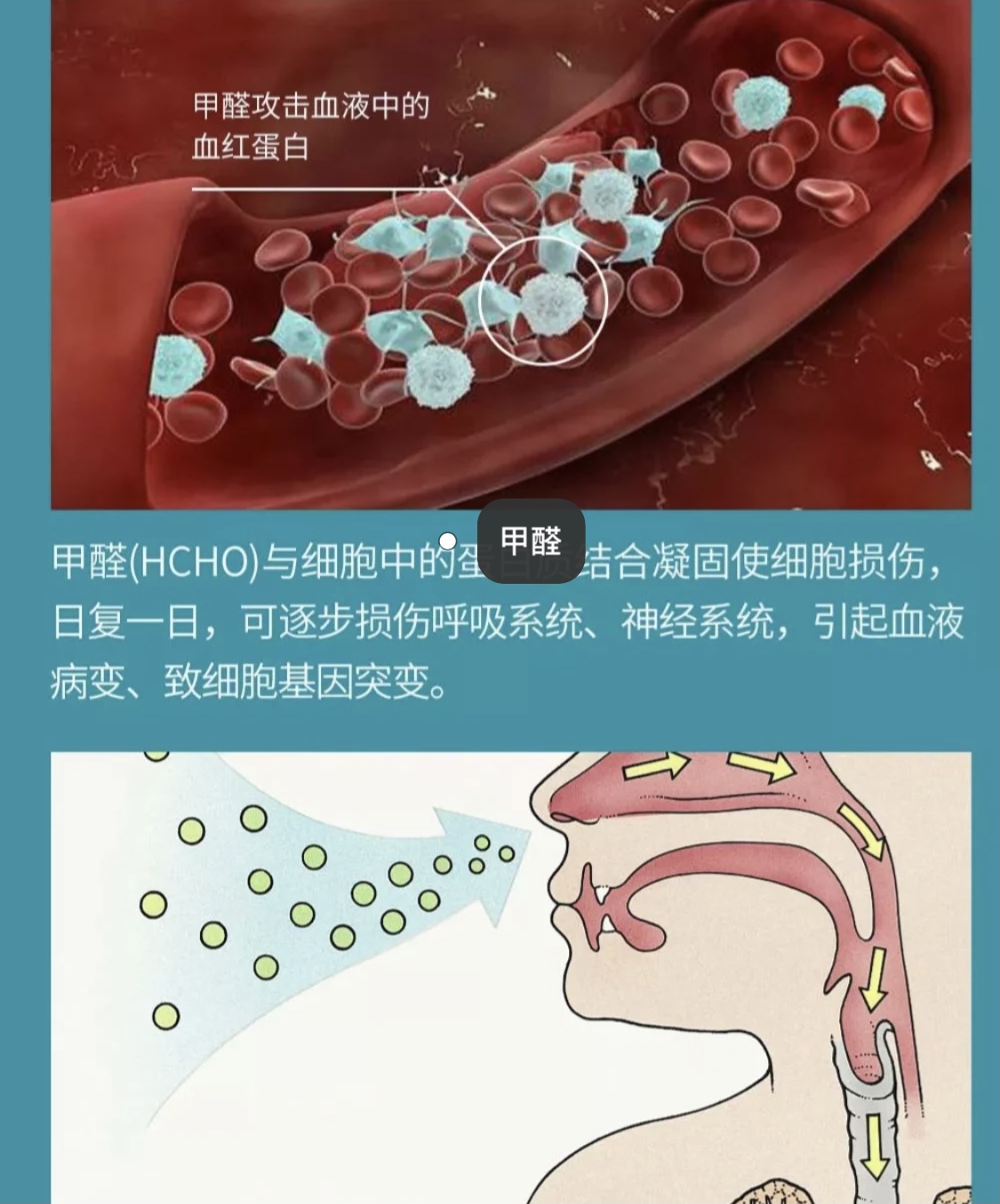 甲醛与白血病