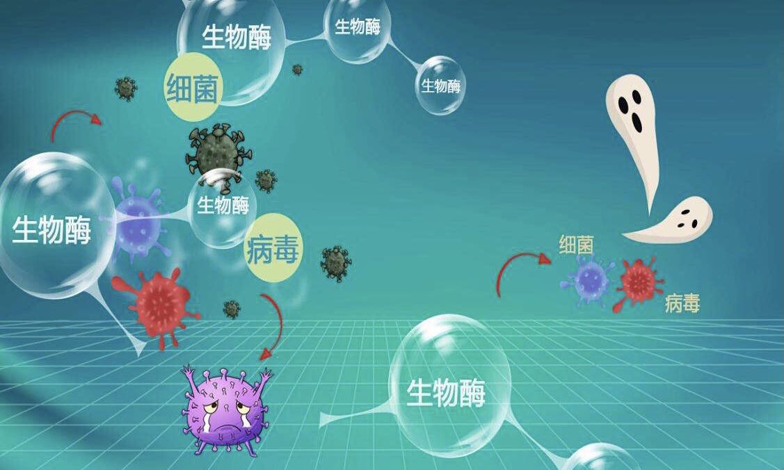 生物酶去甲醛